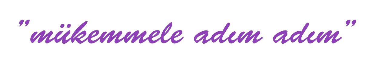 Mükemmele adım adım